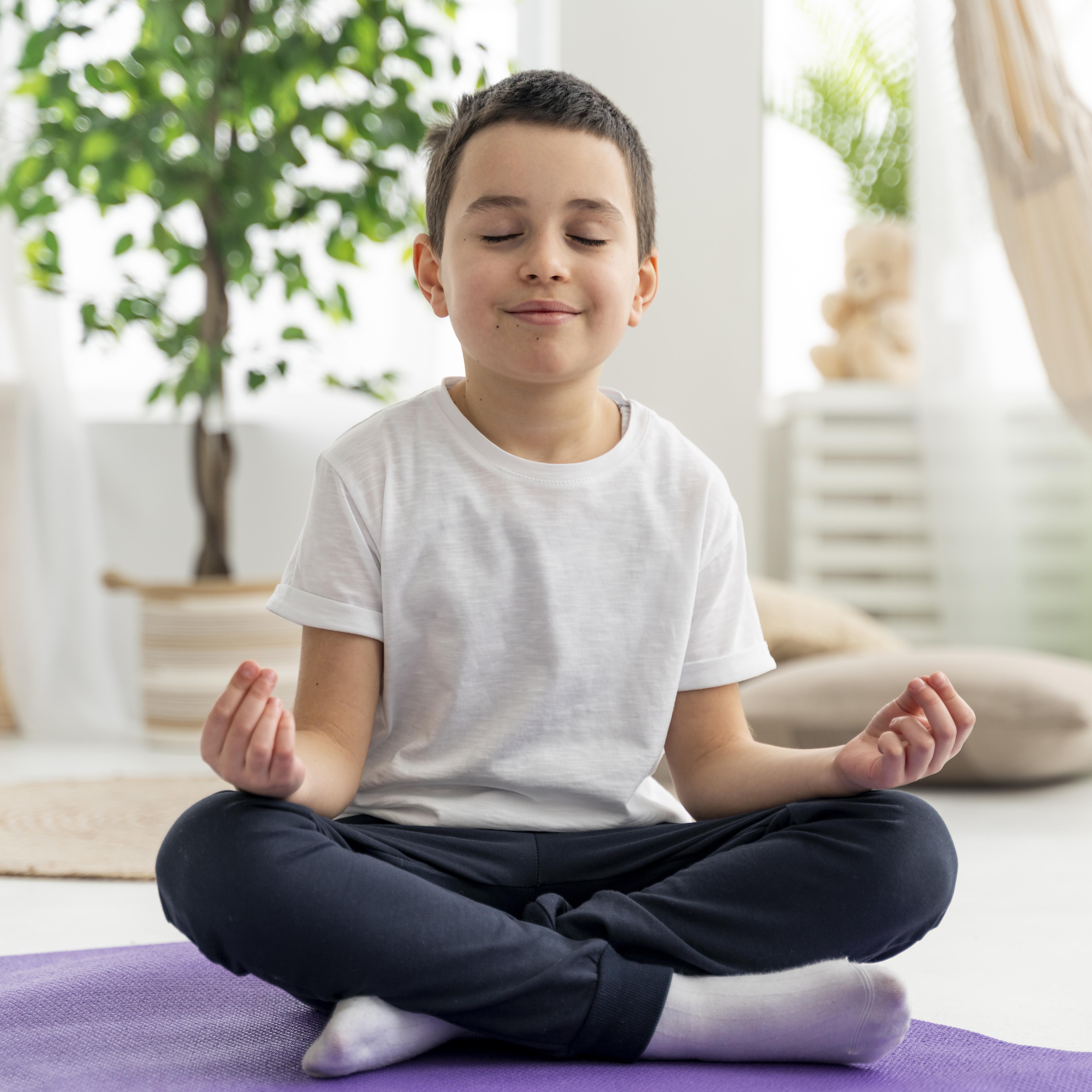 Mindfulness Educacional